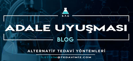 adale uyuşması